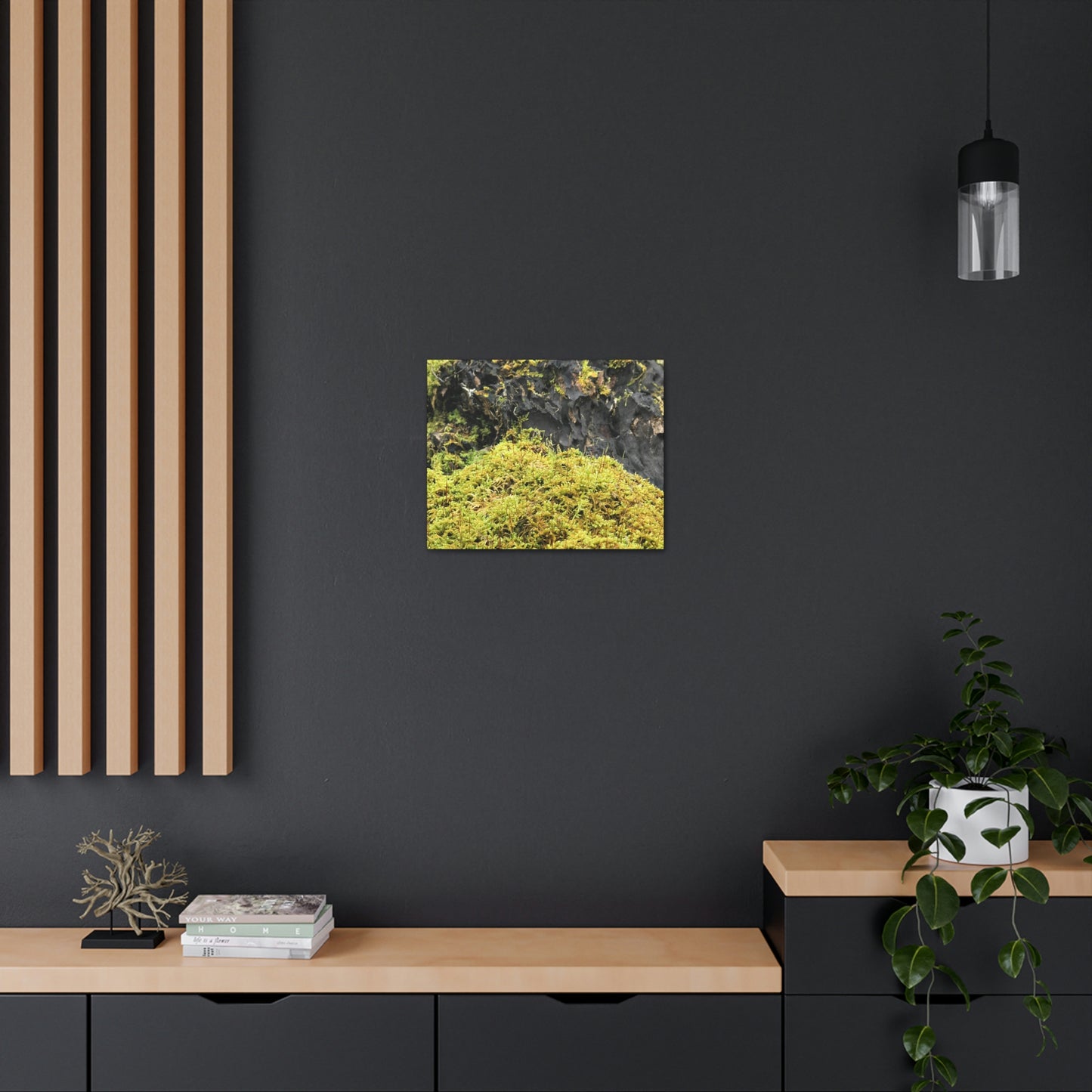 Little Life Nature Photography Canvas