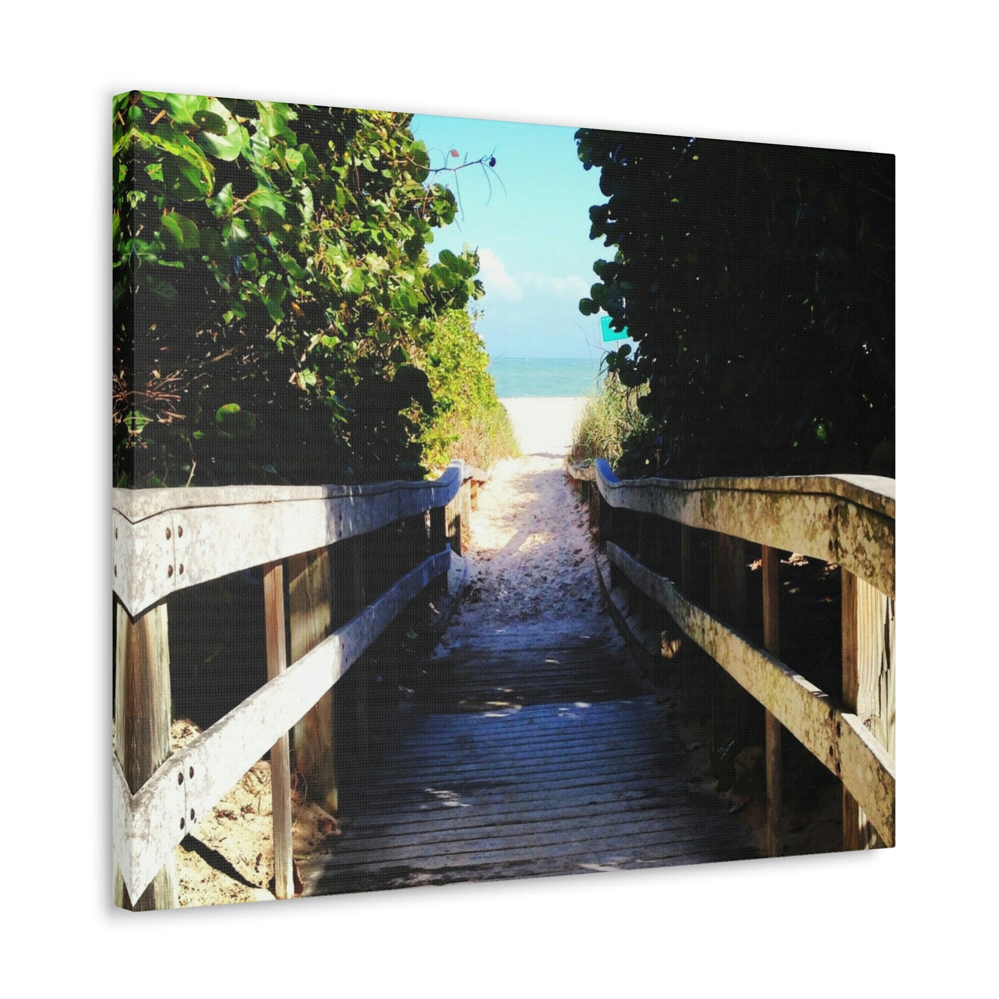 Walk to the Beach Nature Photography Canvas