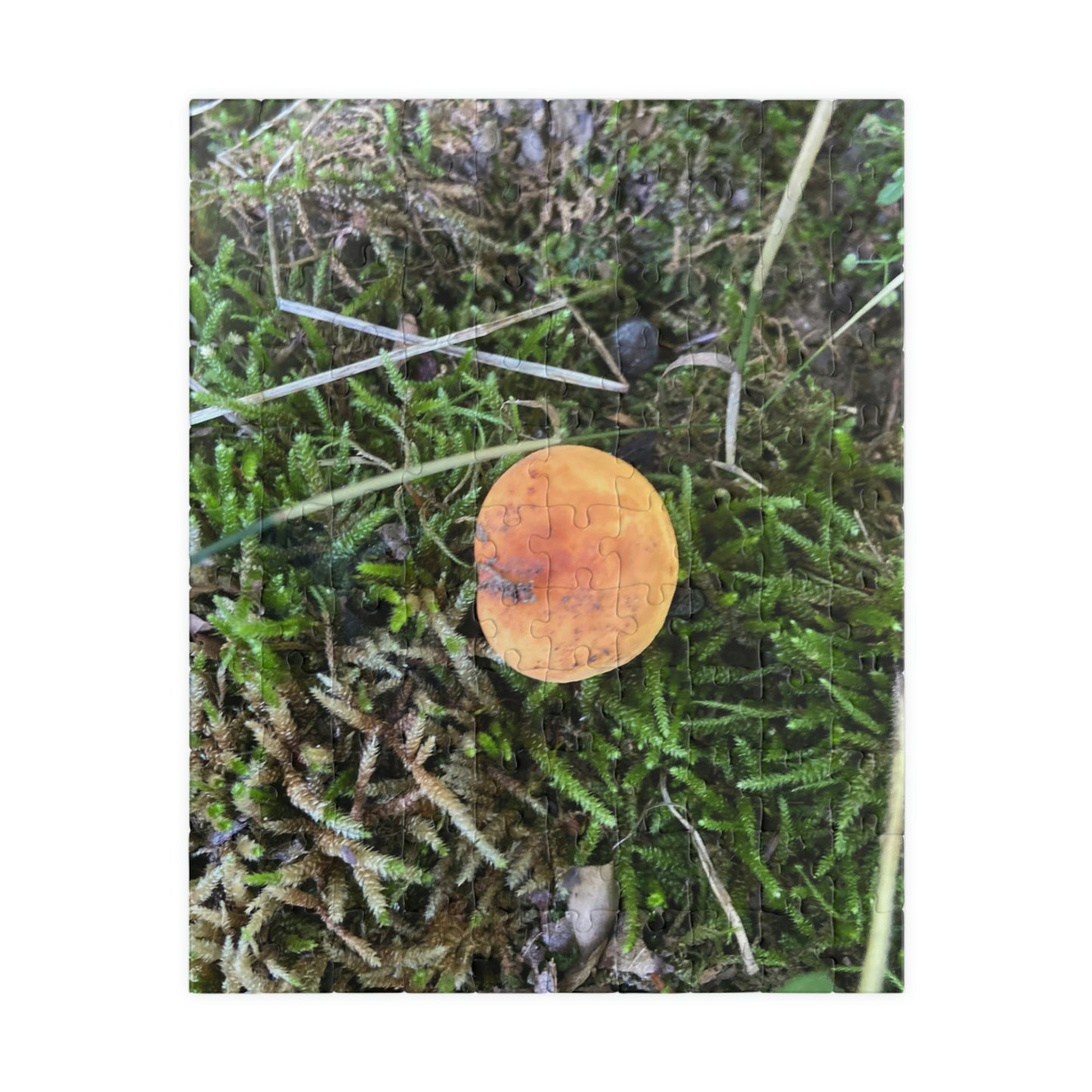 On My Own Puzzle; Mushroom Puzzle