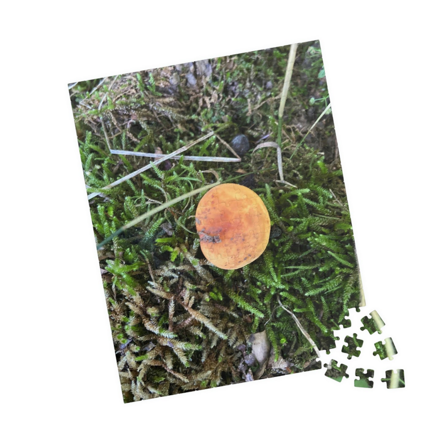 On My Own Puzzle; Mushroom Puzzle