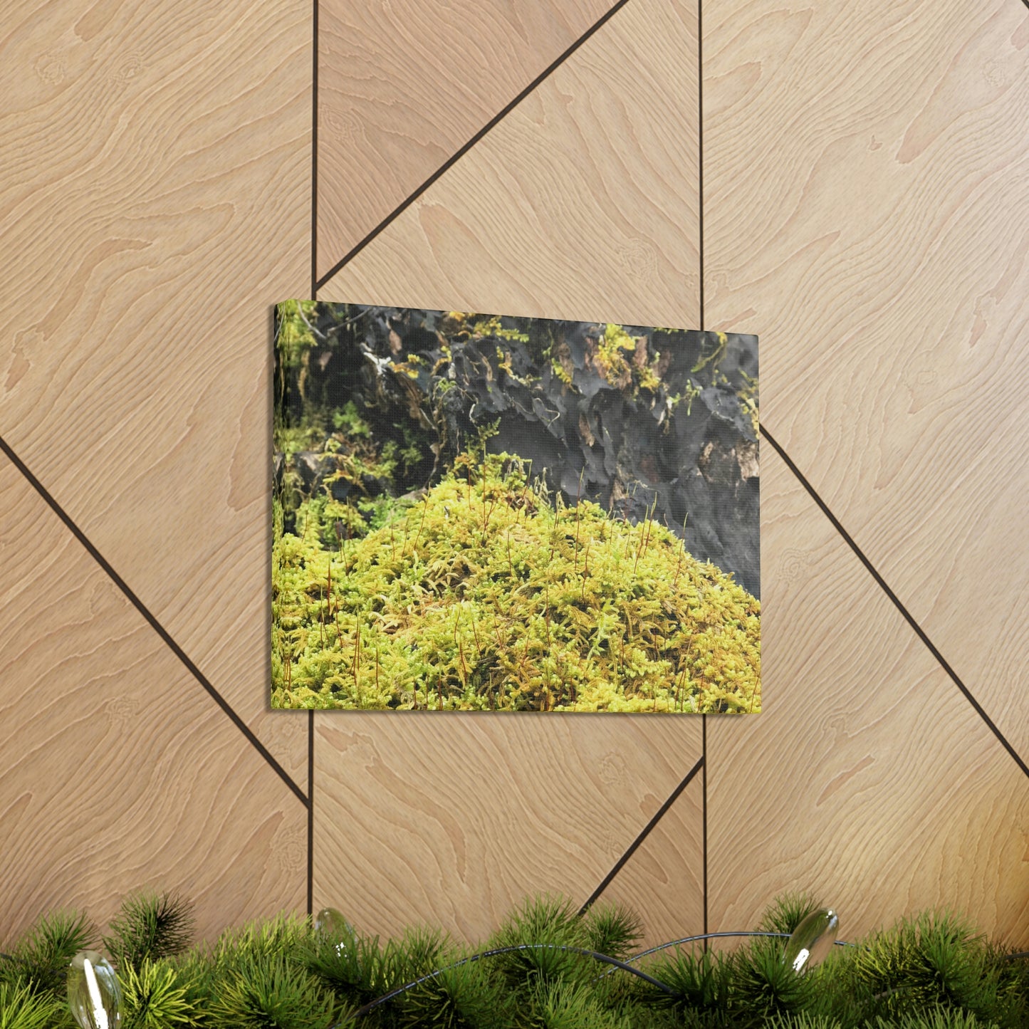 Little Life Nature Photography Canvas