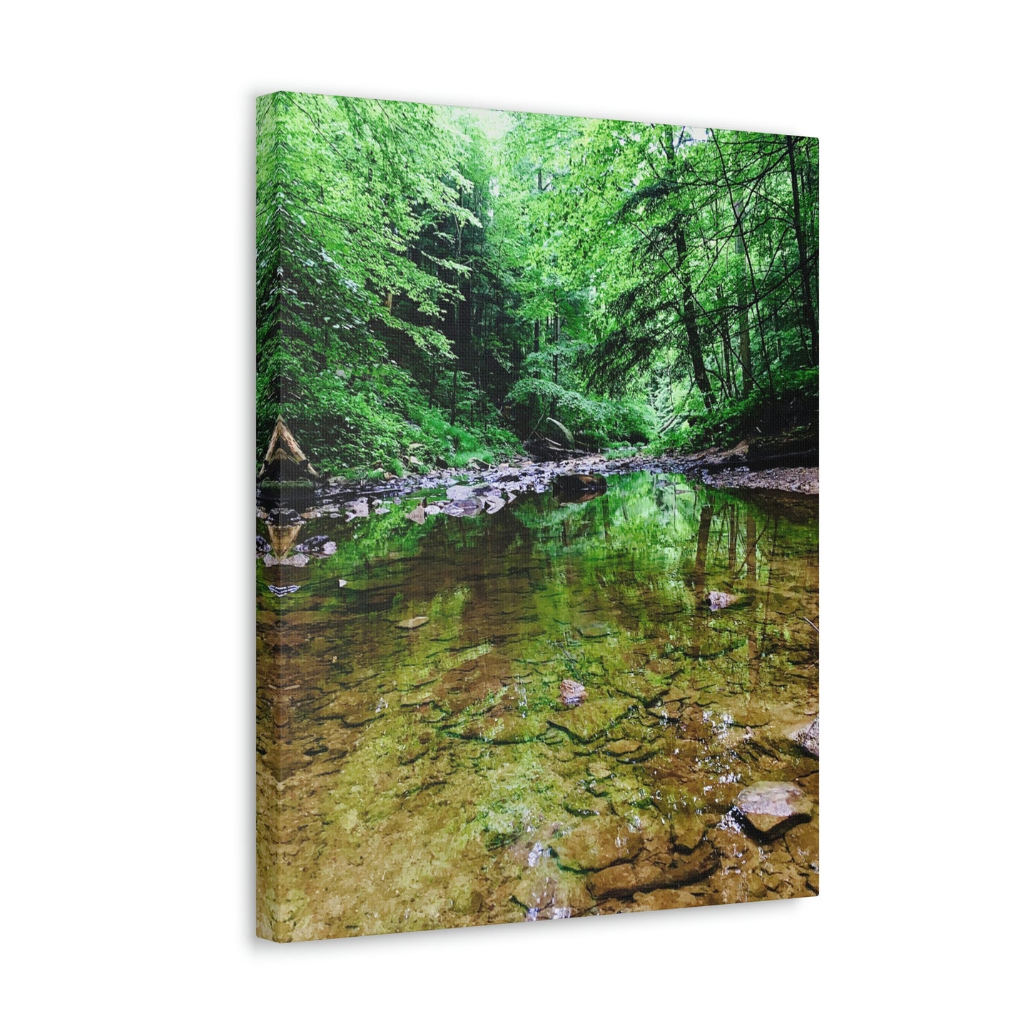 Forest Creek Bed, Nature Photography Canvas