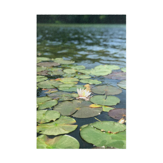 Lilly Pad Puzzle