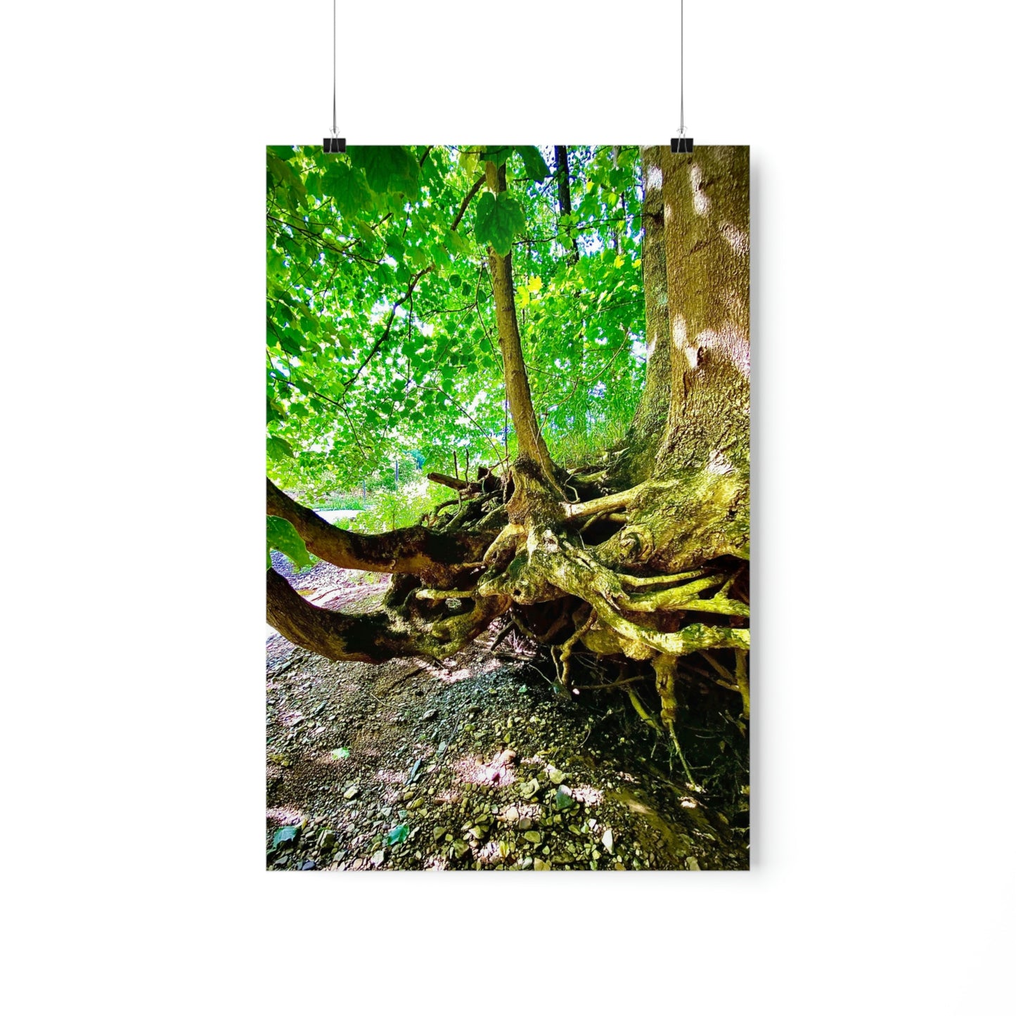 I Shall Grow Strong Premium Matte Poster, Nature Photography Poster