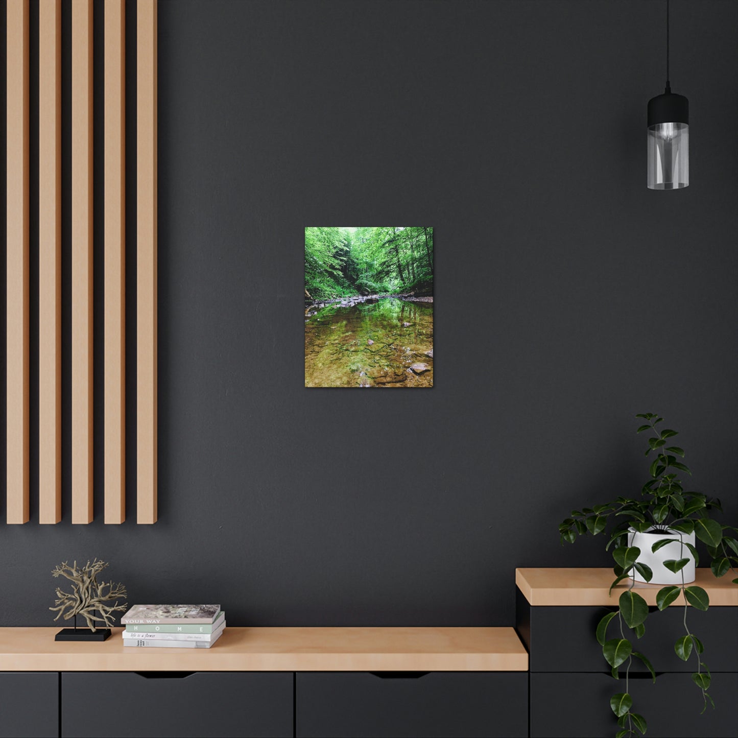 Forest Creek Bed, Nature Photography Canvas