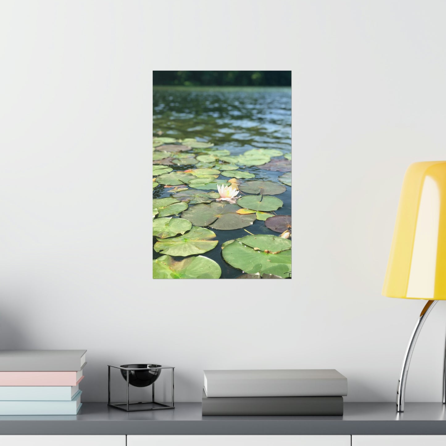 Lone Lilly Premium Matte Poster, Nature Photography