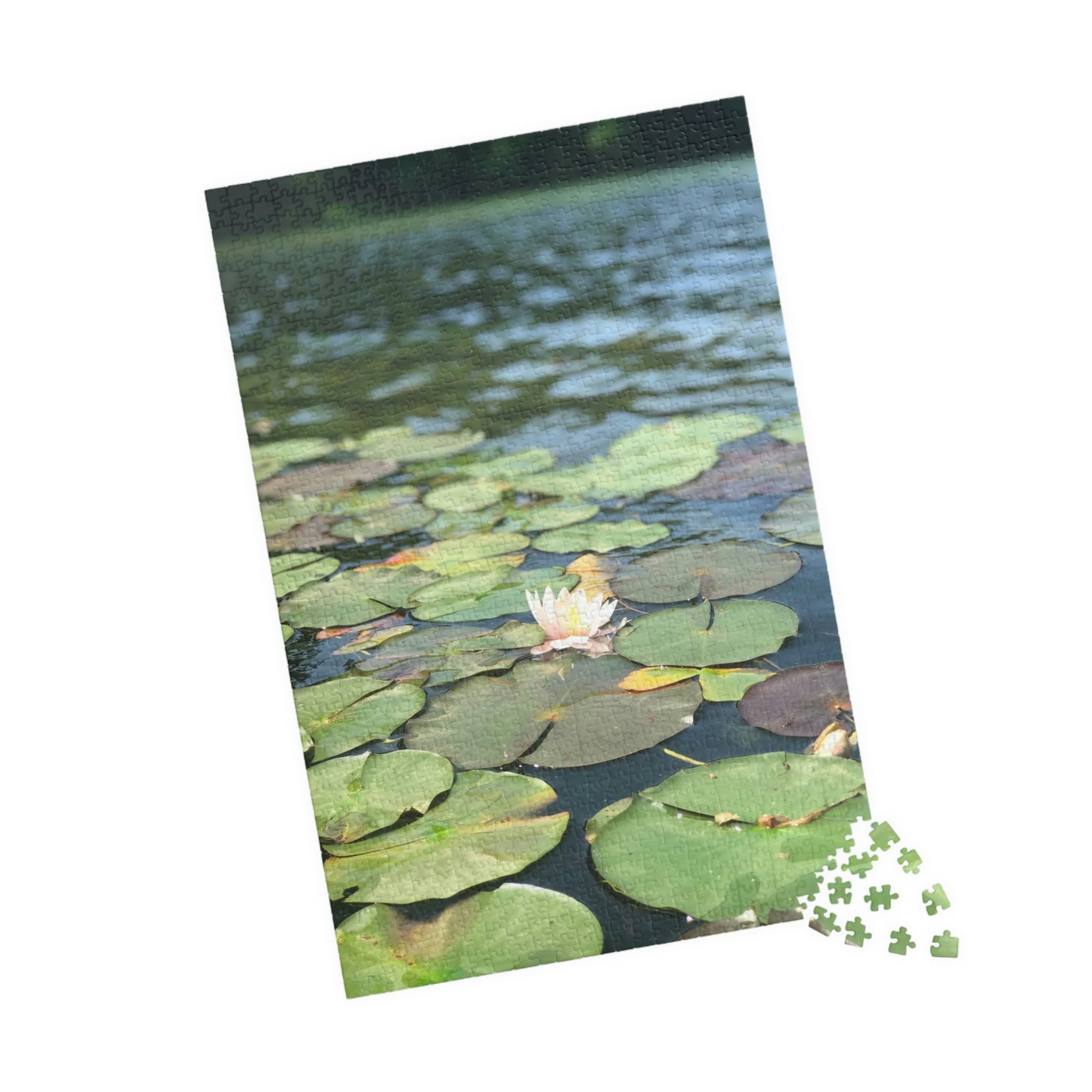 Lilly Pad Puzzle