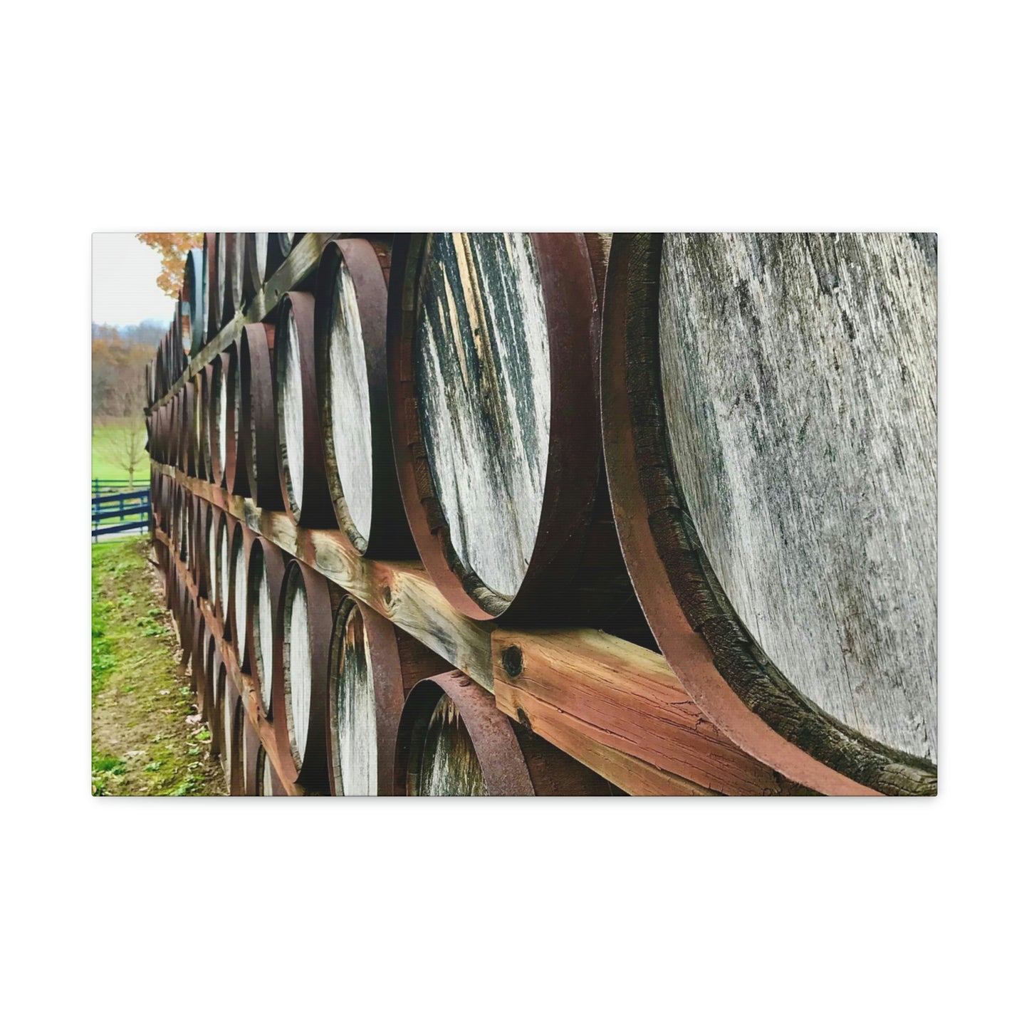 Wine Barrel Canvas; Photography Print Canvas