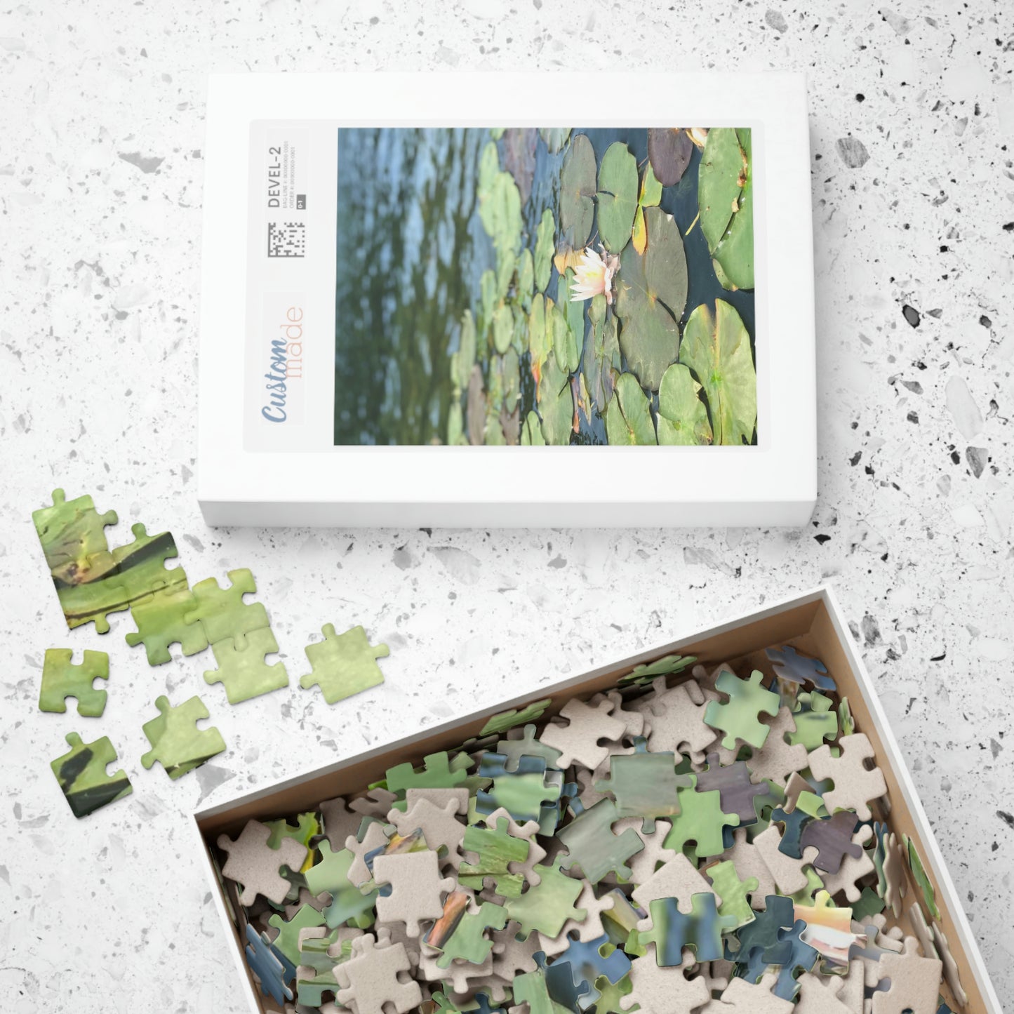 Lilly Pad Puzzle