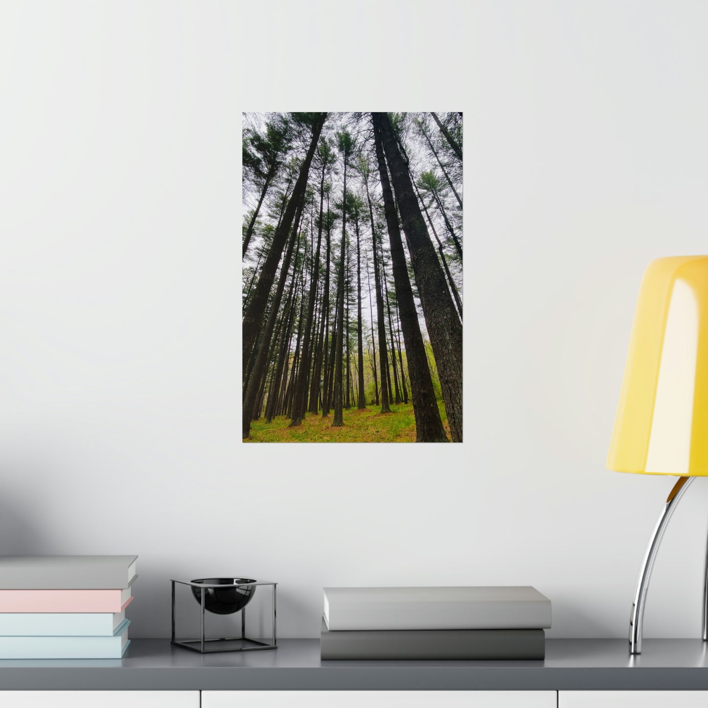 Lost in the Trees Premium Matte Poster, Nature Photography