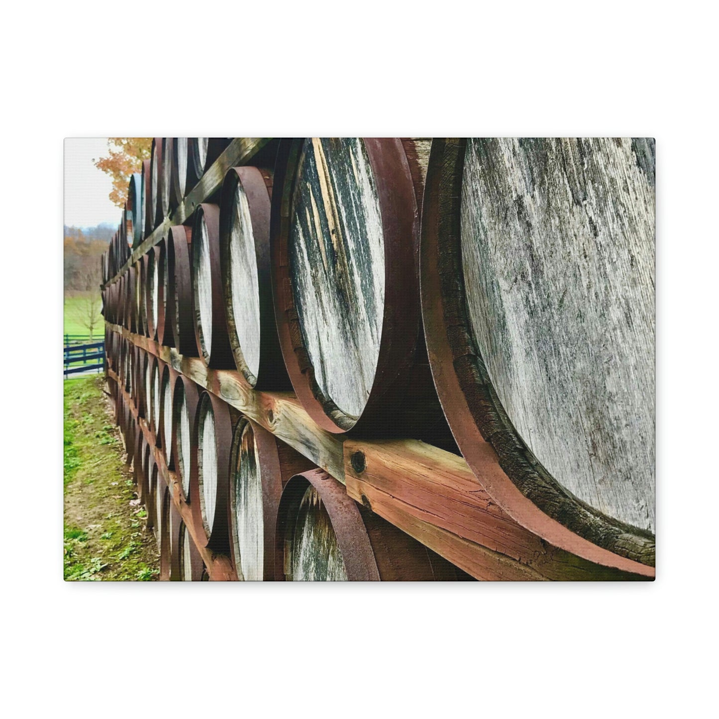 Wine Barrel Canvas; Photography Print Canvas