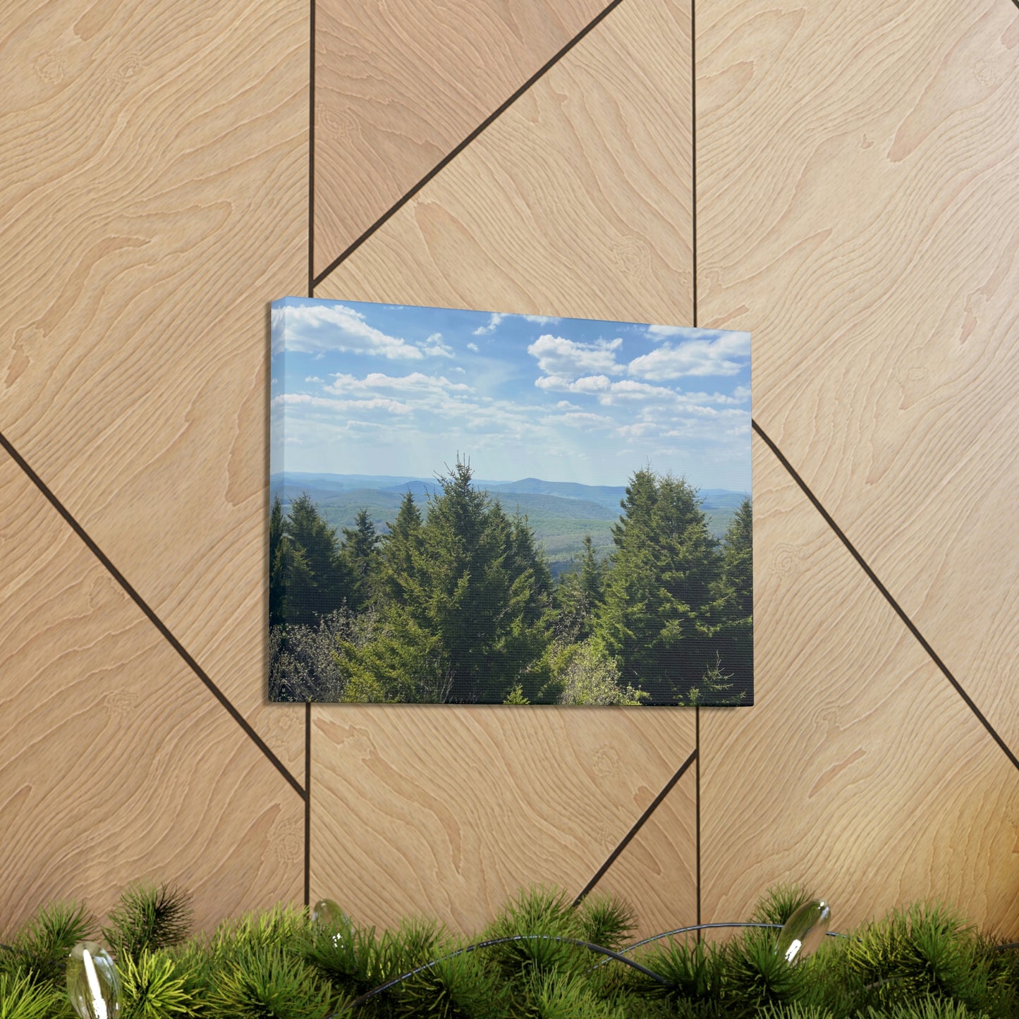 Mountain View Canvas; Nature Photography Canvas