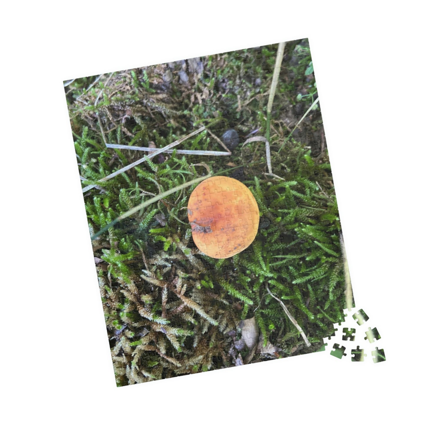 On My Own Puzzle; Mushroom Puzzle