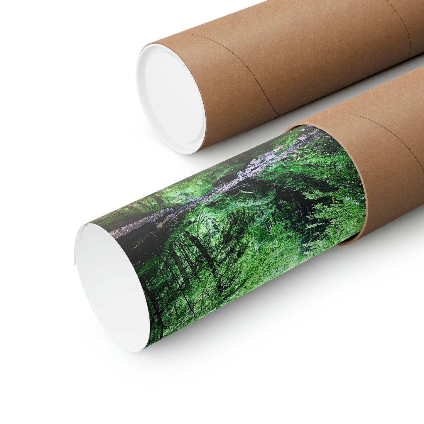 Forest Creek Bed Premium Matte Poster; Nature Photography Poster